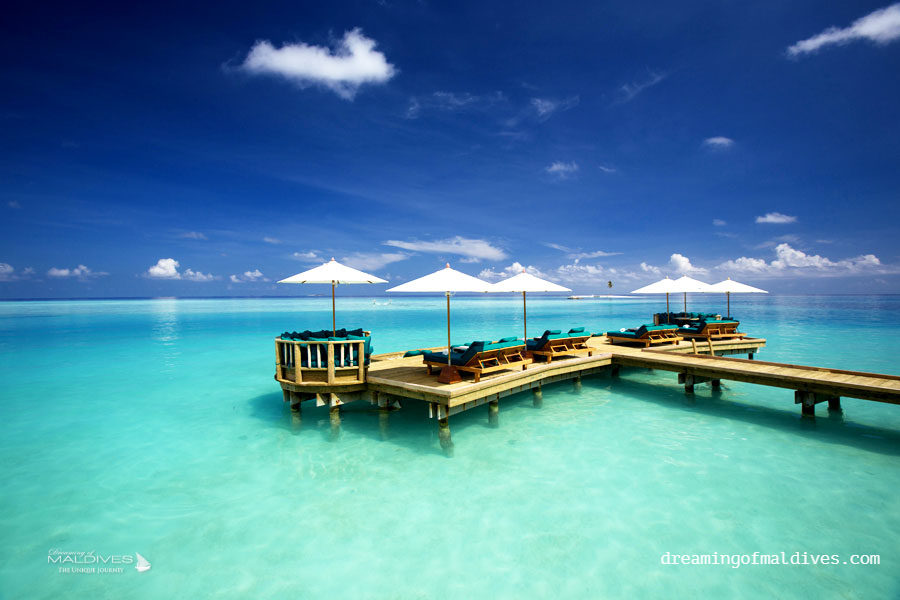 Gili Lankanfushi Maldives The Bar