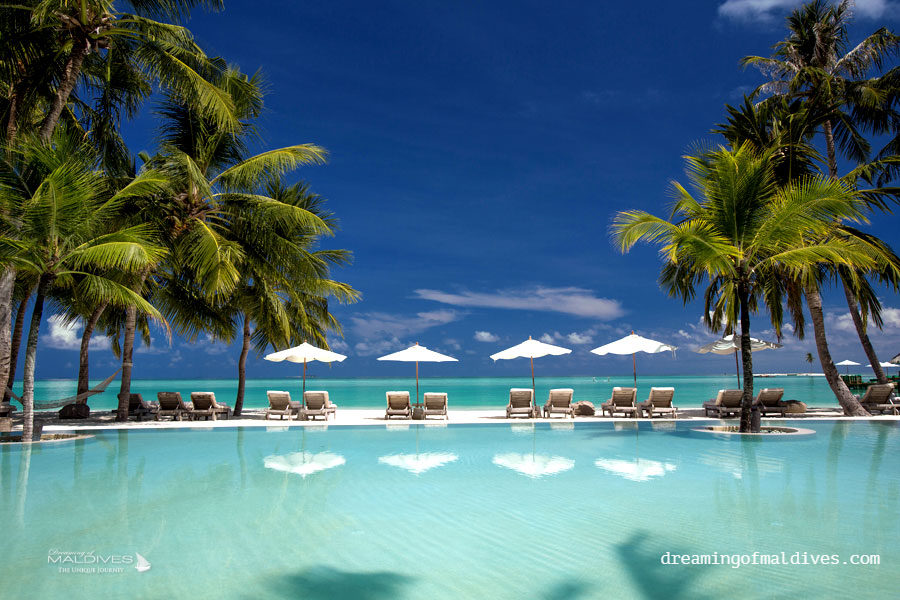 Gili Lankanfushi Main Swimming Pool