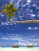Gili Lankanfushi Maldives Review