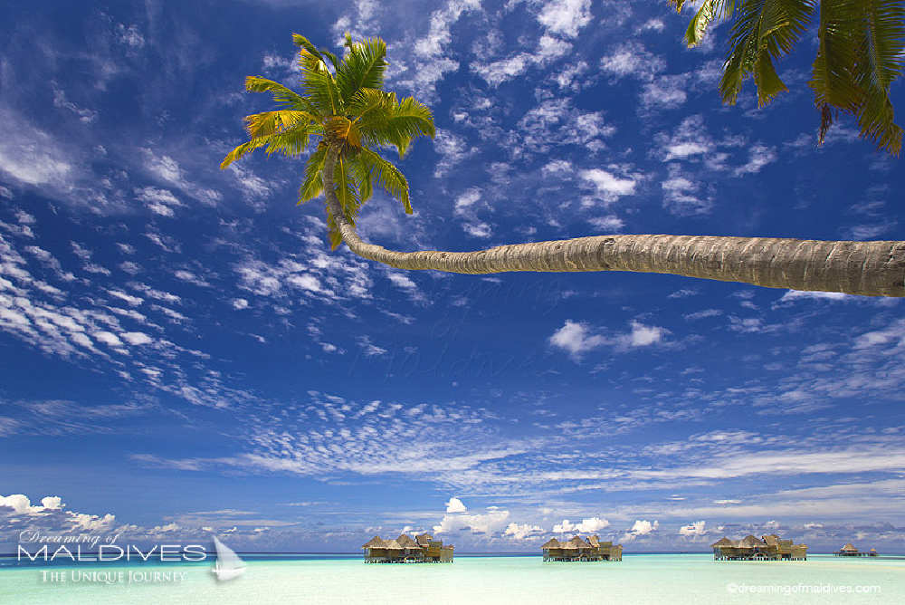 Gili Lankanfushi resort Review