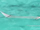 A #HAMMOCK FLOATING IN THE #BLUE #LAGOON LITERALLY.