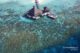 Snorkeling on Huvafen House reefs huvafen fushi best moment