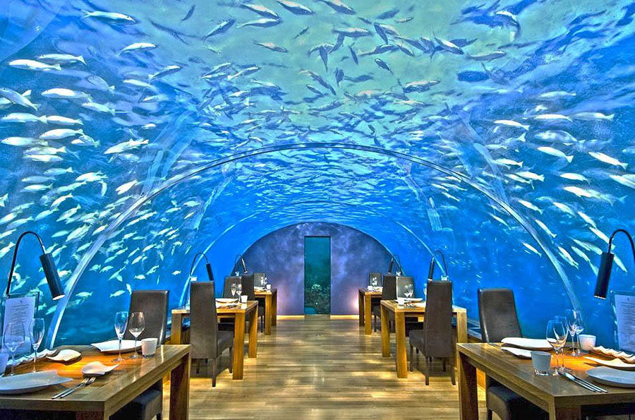 Conrad Rangali Underwater restaurant - Ithaa
