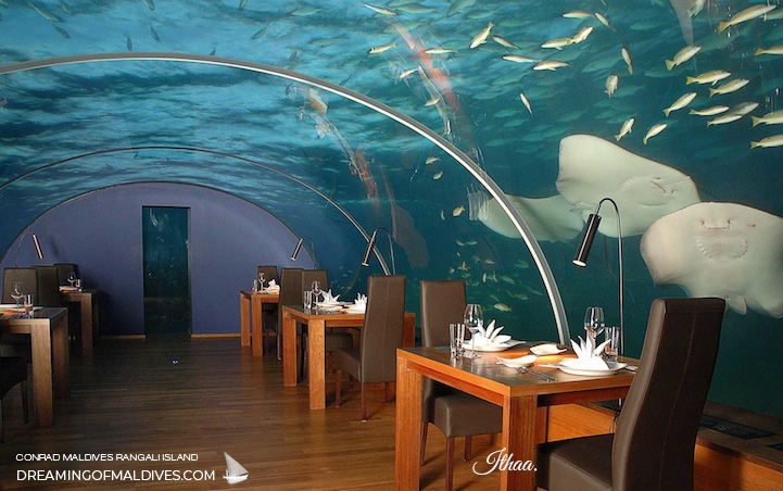 Say Hello to The Rays at ITHAA underwater restaurant maldives conrad