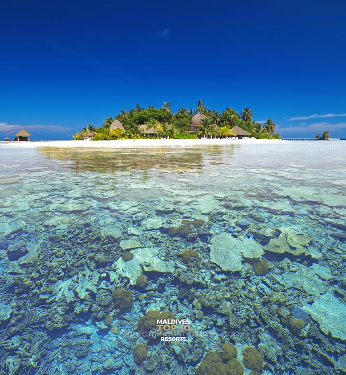 kandolhu maldives island house reef