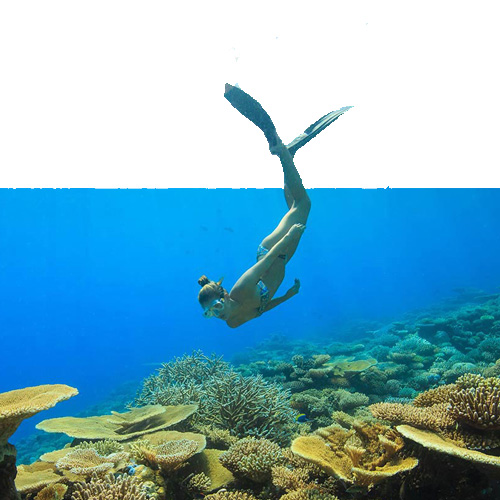 snorkeling review of W Maldives
