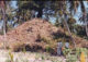 Maldives Archeological Buddhist site Maabadhige in Noonu Atoll