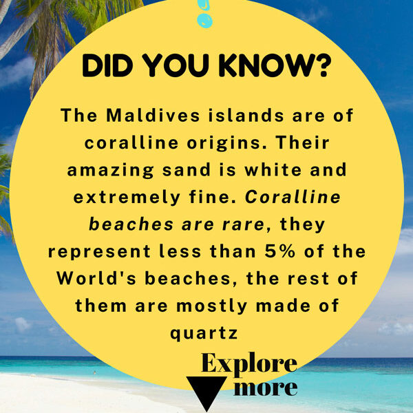 did you know maldives