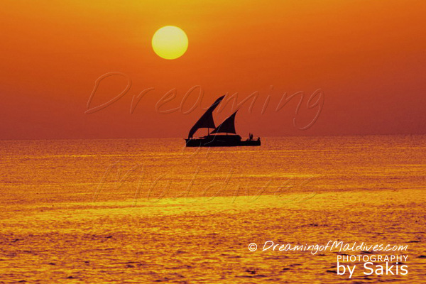 Fun Fact You Might Not Know about Maldives - Dhoni Shapes from Arabian ships