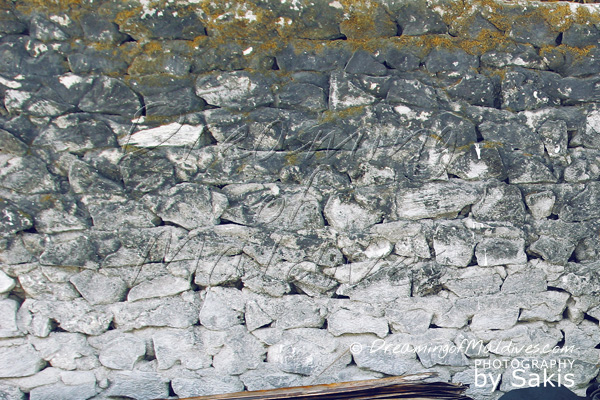 Fun Fact You Might Not Know about Maldives - Coral house wall