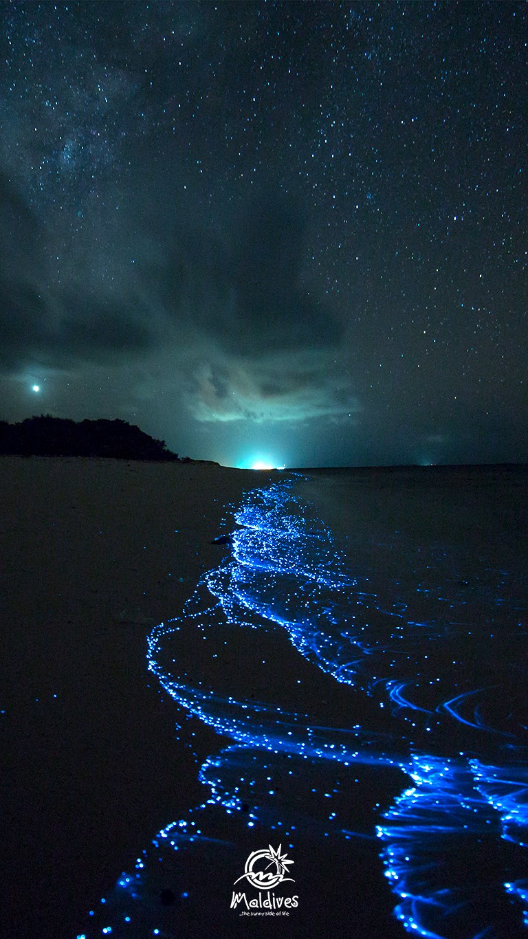 Bioluminescent glowing beach maldives free wallpaper