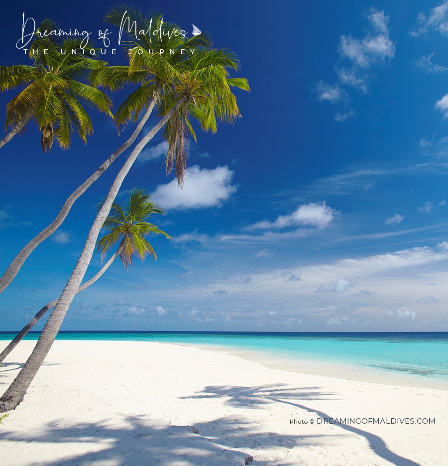 Decoding the Paradise : Is There a Best Beach in Maldives ?