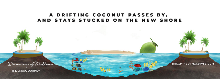 Complete formation of Maldives Atolls and Islands