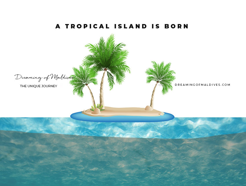a tropical island is born