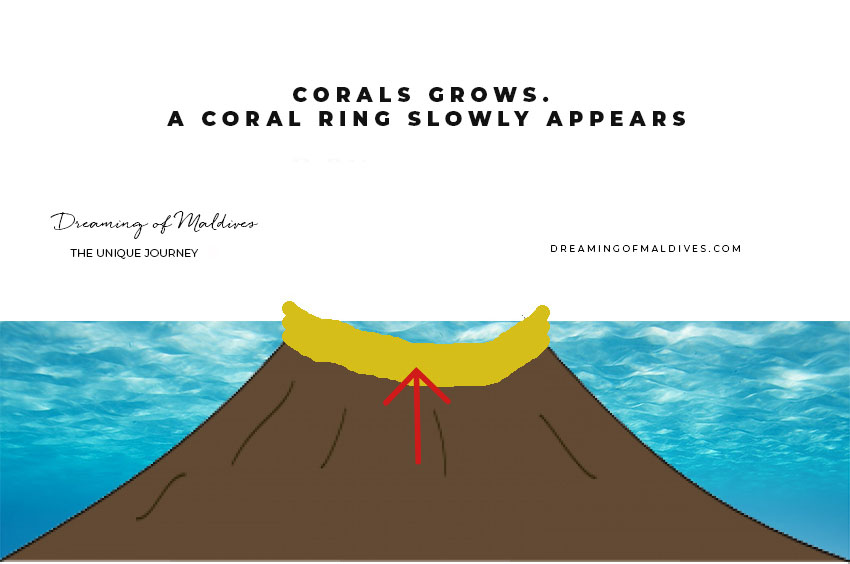 coral grows around the sunken volcano