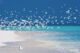 Maldives paradise sandbank