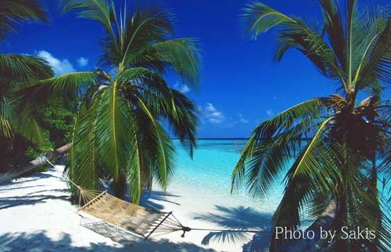 Paradise Beach of The Maldives Islands