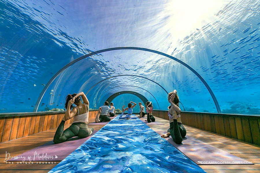 group yoga underwater session at Hurawalhi Maldives 5.8 Underwater restaurant,