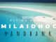 Milaidhoo Private Sandbank experience - drone video
