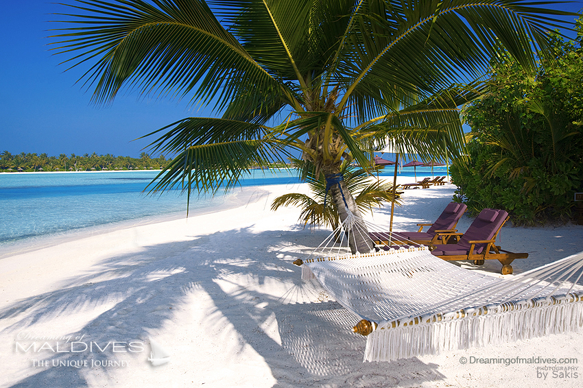 naladhu maldives hammock on the beach