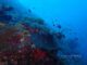 The Nautilus Maldives house reef with fishes