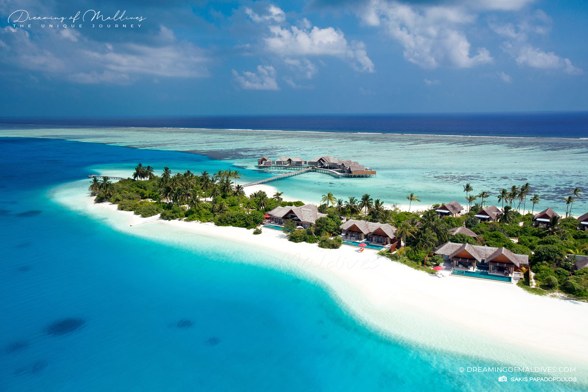 My Complete Review of Niyama Maldives Dreamy Resorts Collection