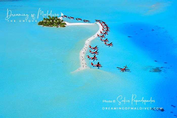 seaplanes on a maldives island