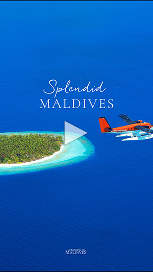 seaplane transfer flying above maldives video