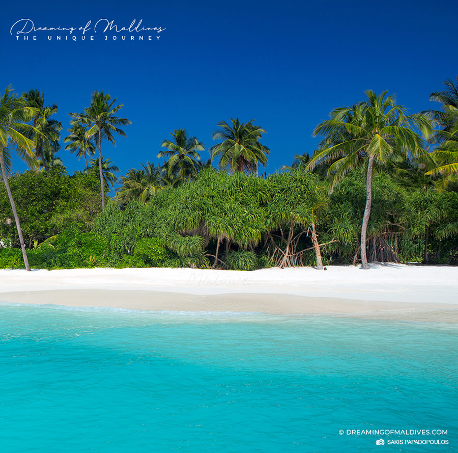 Six Senses Laamu wild tropical beach