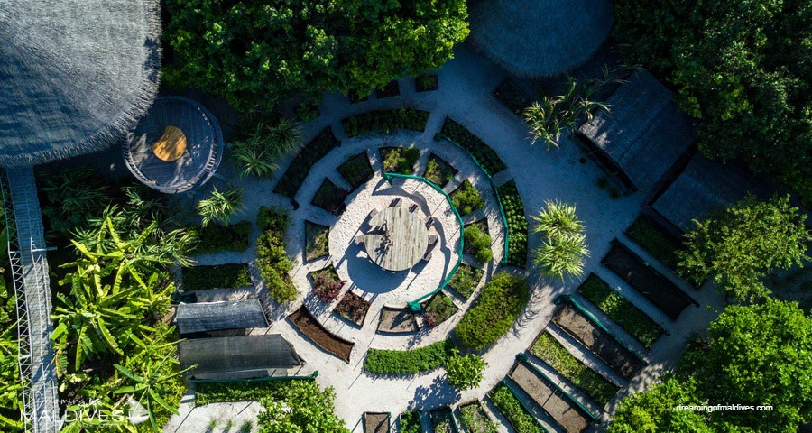 Six Senses Laamu organic gardens