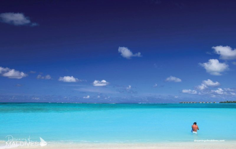 Six Senses Laamu snorkeling sandbank