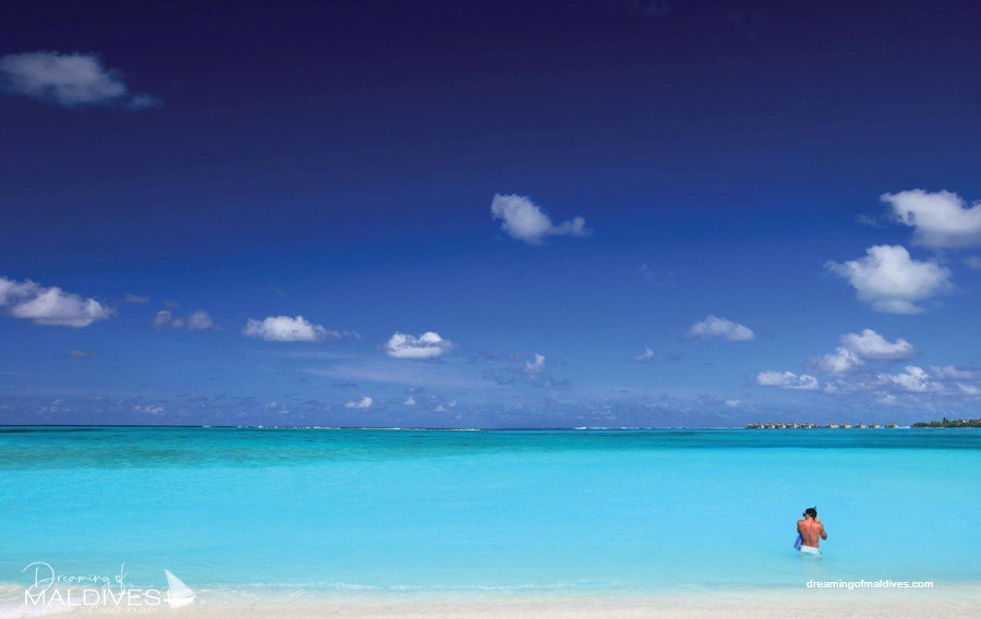 Six Senses Laamu snorkeling sandbank