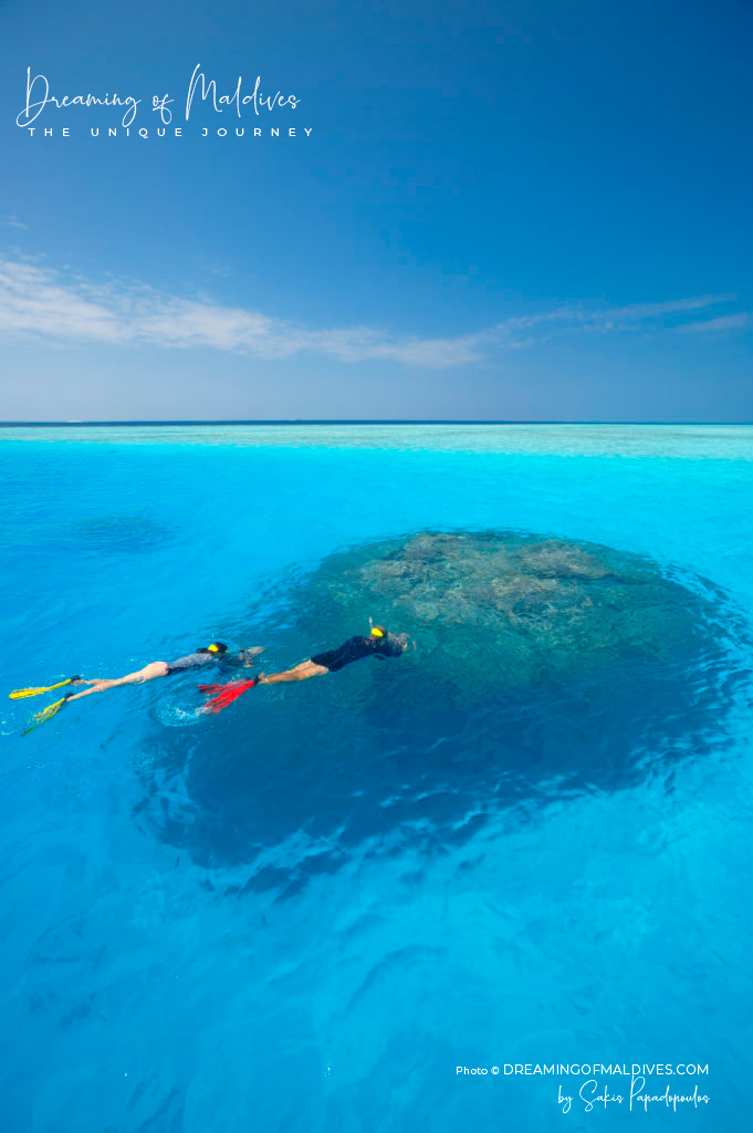 Snorkeling safari at Baros Maldives