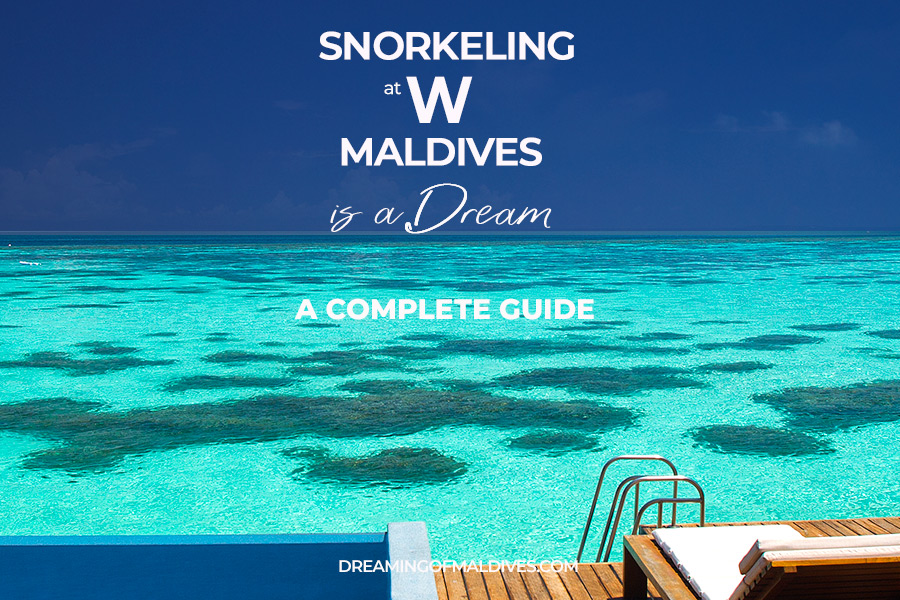 W Maldives snorkeling Guide