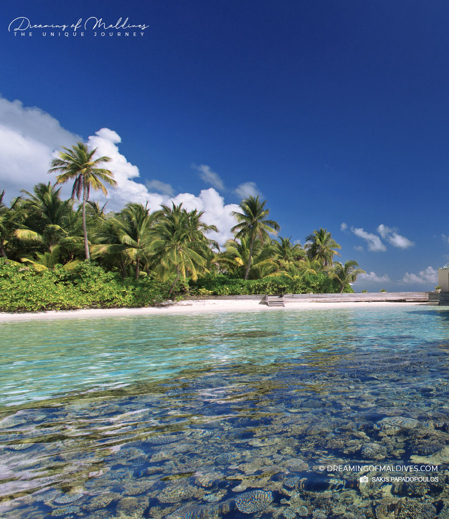 W Maldives snorkeling review