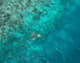 Snorkeling around the reef of NOVA Maldives