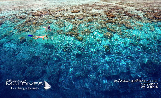 Maldives Snorkeling - Best resorts