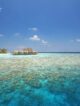 review snorkeling and diving guide Anantara Kihavah maldives