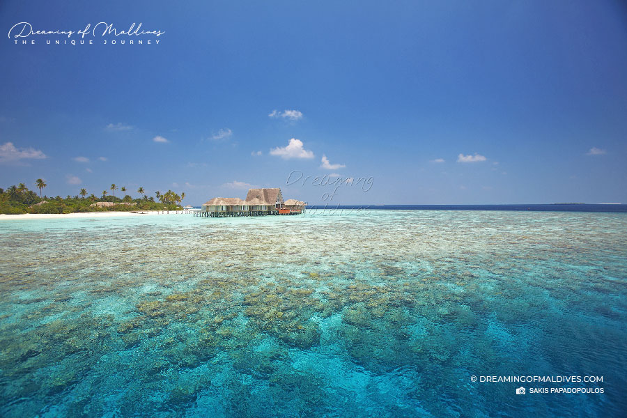 review snorkeling and diving guide Anantara Kihavah maldives