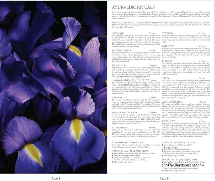 IRIDIUM SPA Massages and Treatment prices