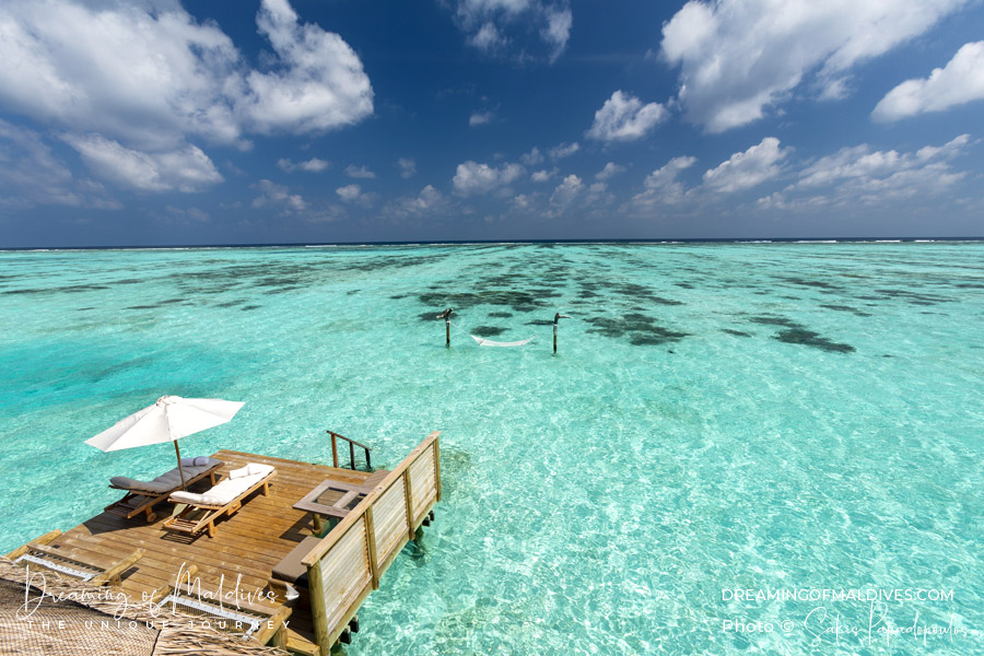 Endless ocean view from the private reserve terrace