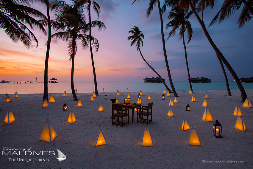 Maldives Private Dinner on the Beach