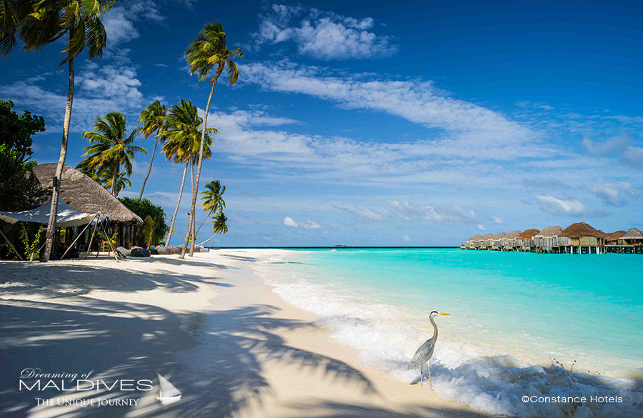 TOP 10 Best Maldives Hotels 2017 Constance Halaveli