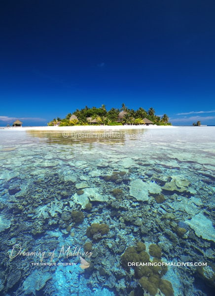 Kandolhu Maldives close-by house-reef access | Photo by Sakis Papadopoulos - Dreaming of Maldives