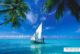 small traditional dhoni close to a maldivian beach
