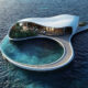 Trump International Hotel Maldives water villa architecture rendering