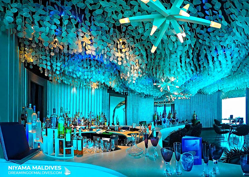 SUBSIX immersion into aquatic life