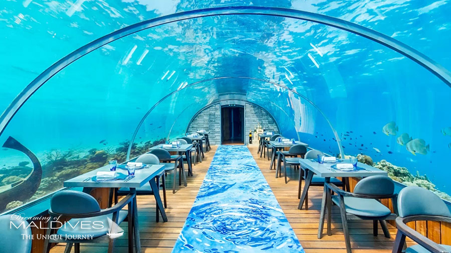 The Underwater Restaurant at Hurawalhi Maldives. The 5.8
