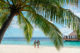 W Maldives diving