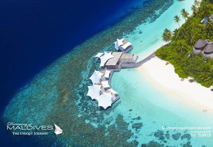 W Maldives best resort for snorkeling in Maldives. house reef